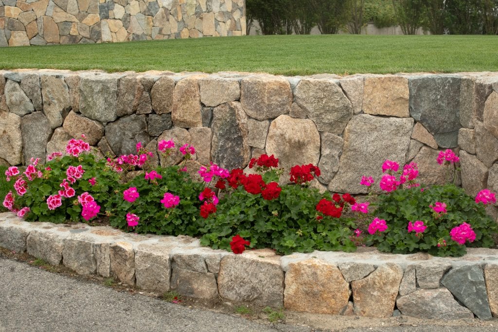 stone wall flowers
